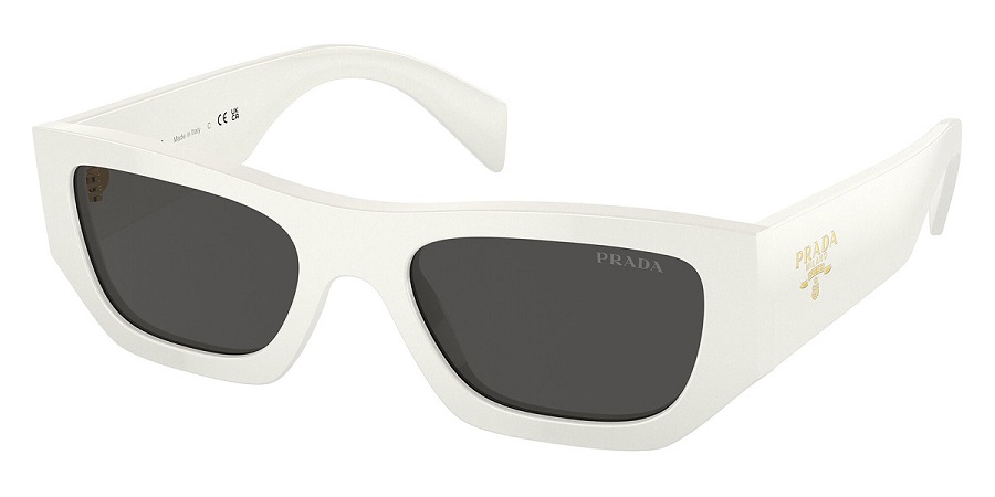 Картинка PR A01S 17K08Z 53 от бутика de Lunettes